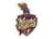 Los Angeles Knight Riders