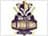 Quetta Gladiators